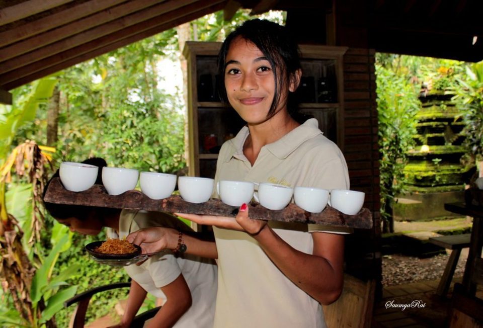 Photo of Bali Pulina - A visit to the Most Expensive Coffee Plantation by Road to Taste