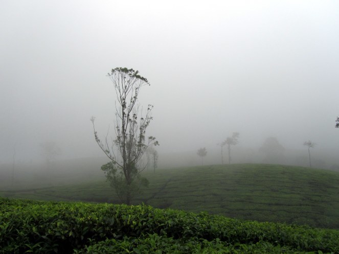 Photo of Valparai, Tamil Nadu, India by Rashmi Gopal Rao