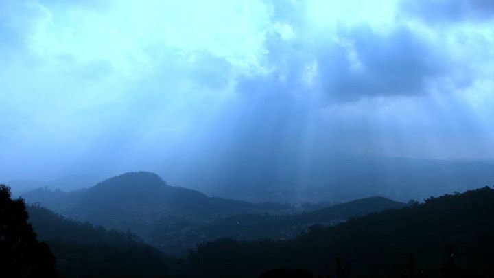 Photo of Mudumalai Tiger Reserve by Rishab Bhan