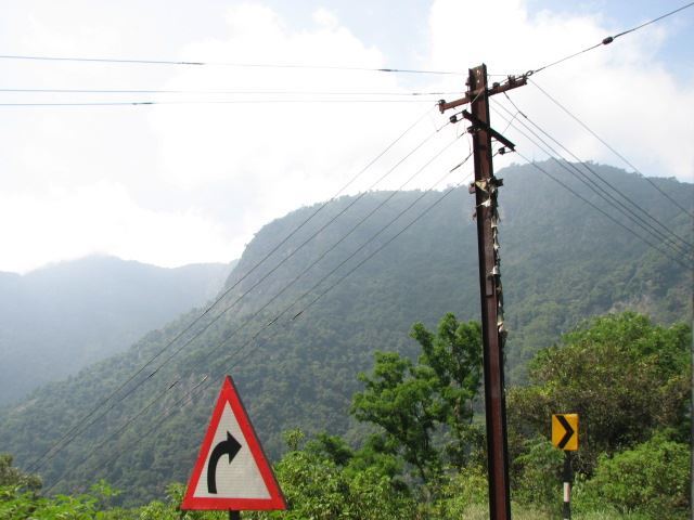 Photo of Mudumalai Tiger Reserve by Rishab Bhan