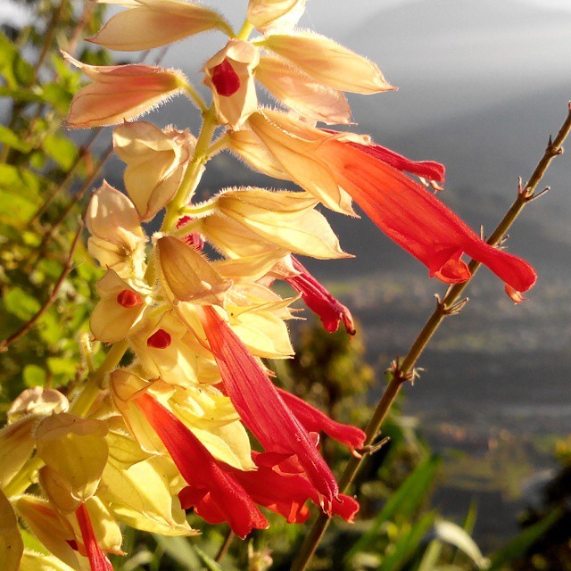 Photo of Trip to Nepal 3/7 by Dipti Goyal