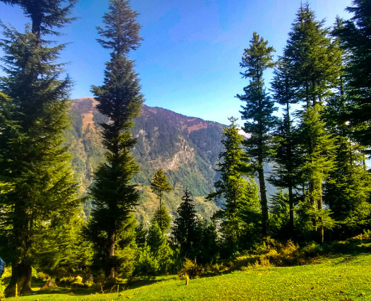 Photo of A trip to Manali on a student's budget 1/9 by Bikramjit Sharma