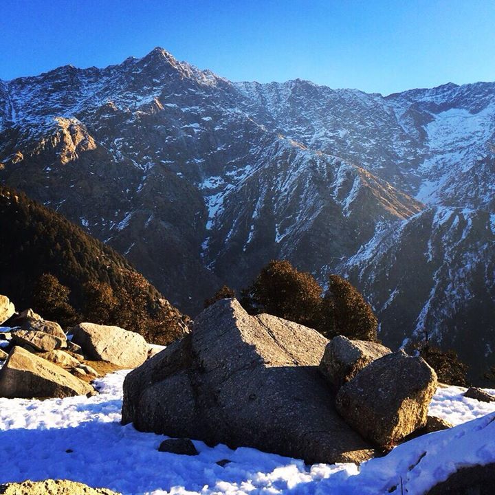 Photo of Dari,Dharamshala by Mohammad Haroon Pasha
