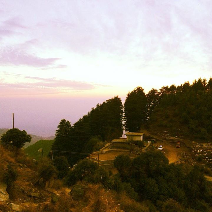 Photo of Dari,Dharamshala by Mohammad Haroon Pasha