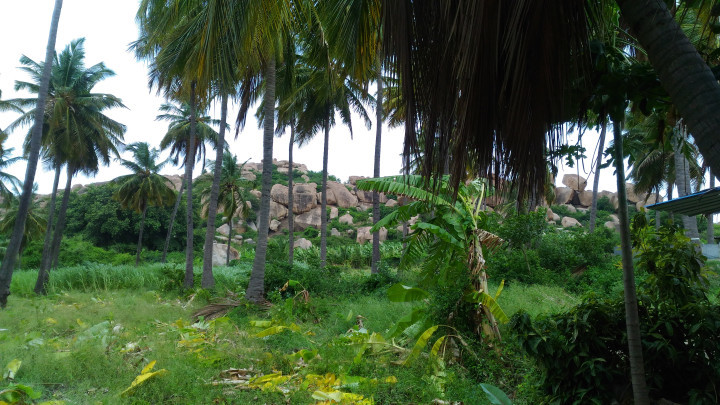 Photo of Hampi Again, July 2016 : the city of ruins!! by Lupamudra Sharma