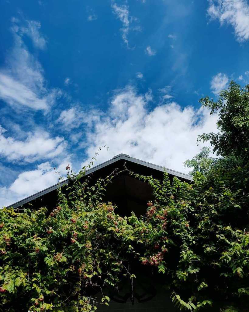 Photo of Choked by the Delhi pollution? Head to this sustainable jungle retreat near the city 1/1 by The Shy Secrets