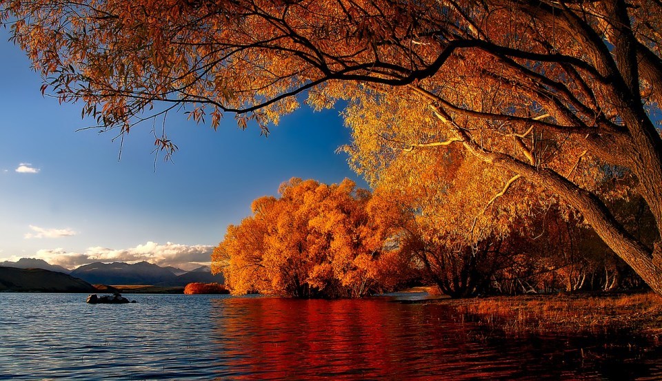 Photo of 6 trips you must do in the South Island New Zealand - Nomadic Foot 1/7 by Nomadic Foot