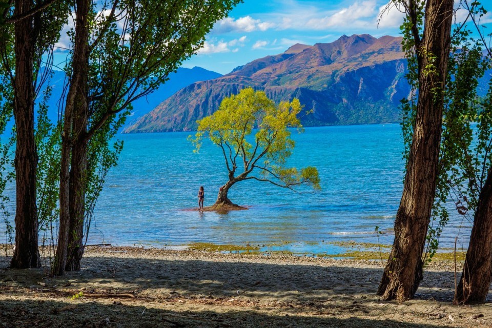 Photo of 6 trips you must do in the South Island New Zealand - Nomadic Foot 5/7 by Nomadic Foot