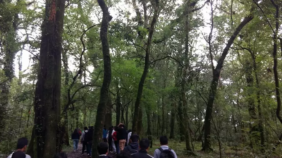 Photo of Mawphlang Sacred Grove by Pratik Das