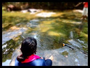 Photo of Coorg – Tirelessly green 3/8 by Drashti Buch