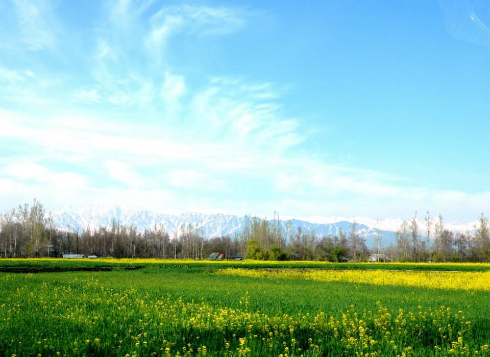 Photo of Kashmir- My days in the Valley by Aditi Singh