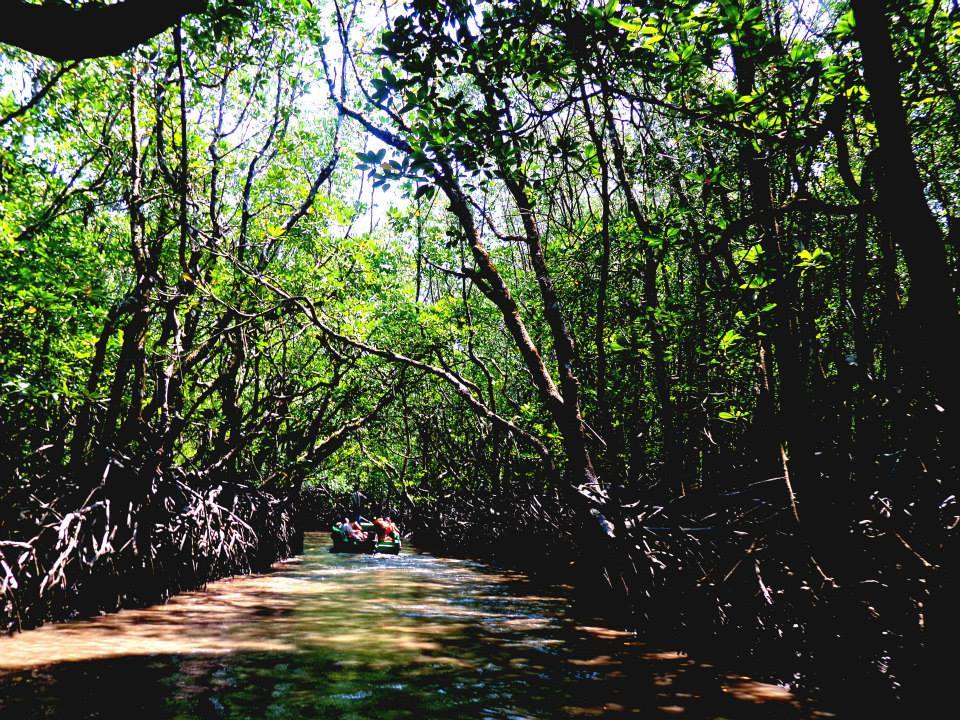 Photo of Andaman Memoir 10/10 by Aditi Singh