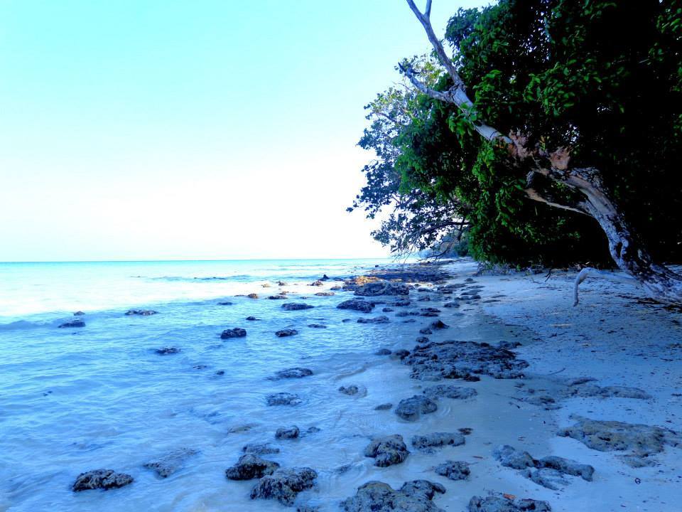 Photo of Andaman Memoir 4/10 by Aditi Singh