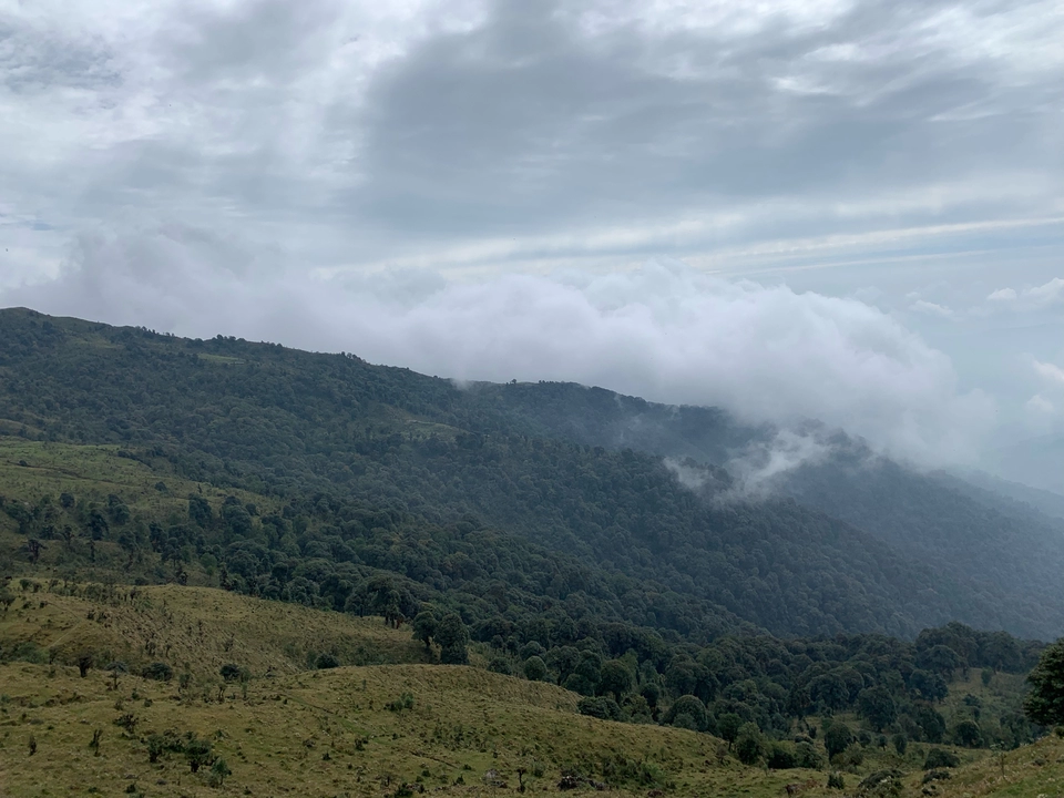 Photo of Jogmai by Sudarshan Raj