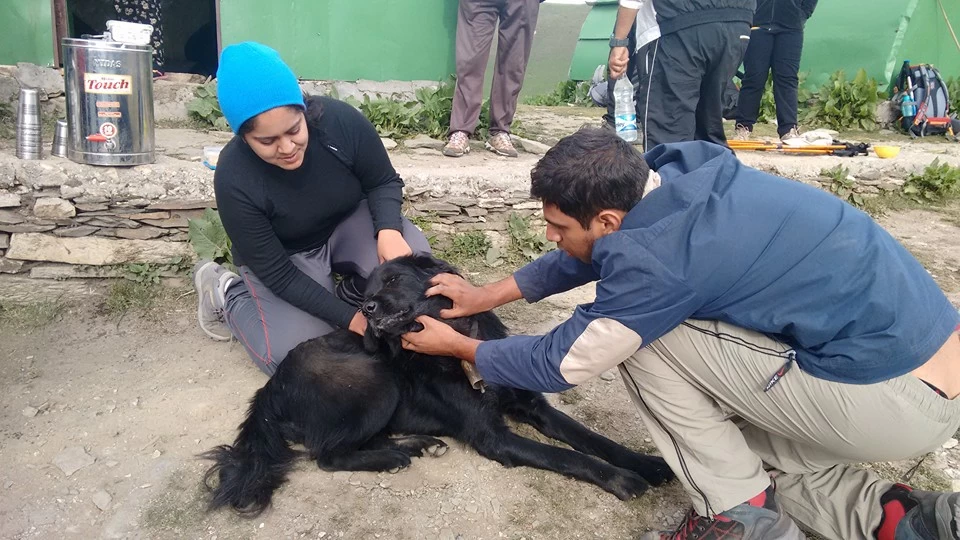 Photo of Ali Bugyal, Roopkund Trail, Chamoli, Uttarakhand, India by Apeksha Shahani