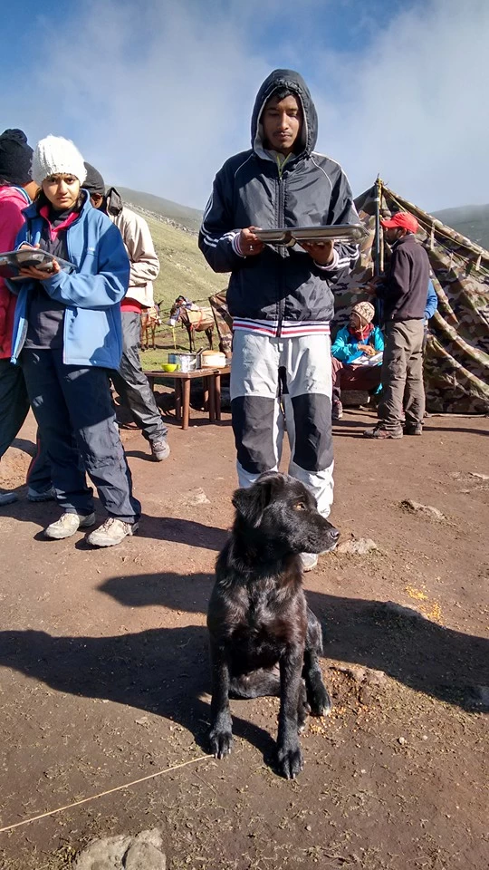 Photo of Patar Nachauni, Chamoli, Uttarakhand, India by Apeksha Shahani