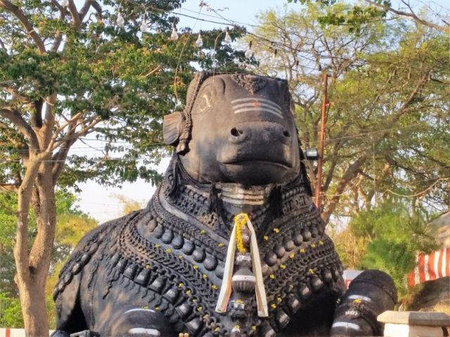 Photo of Once upon a time in Mysore 44/44 by SkinnyGirlDiariez