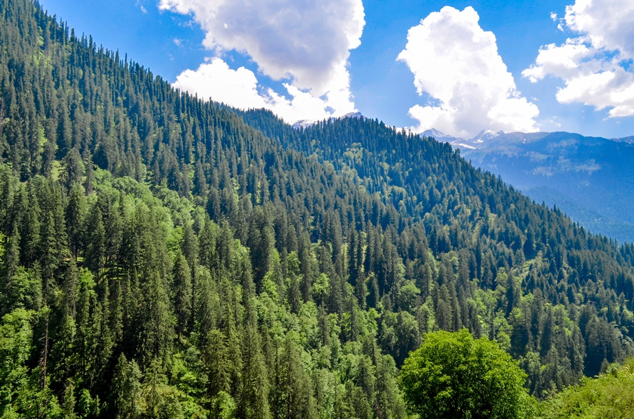 Photo of Kasol-Kheerganga Trek in Parvati Valley 18/56 by Soumitra Mitra