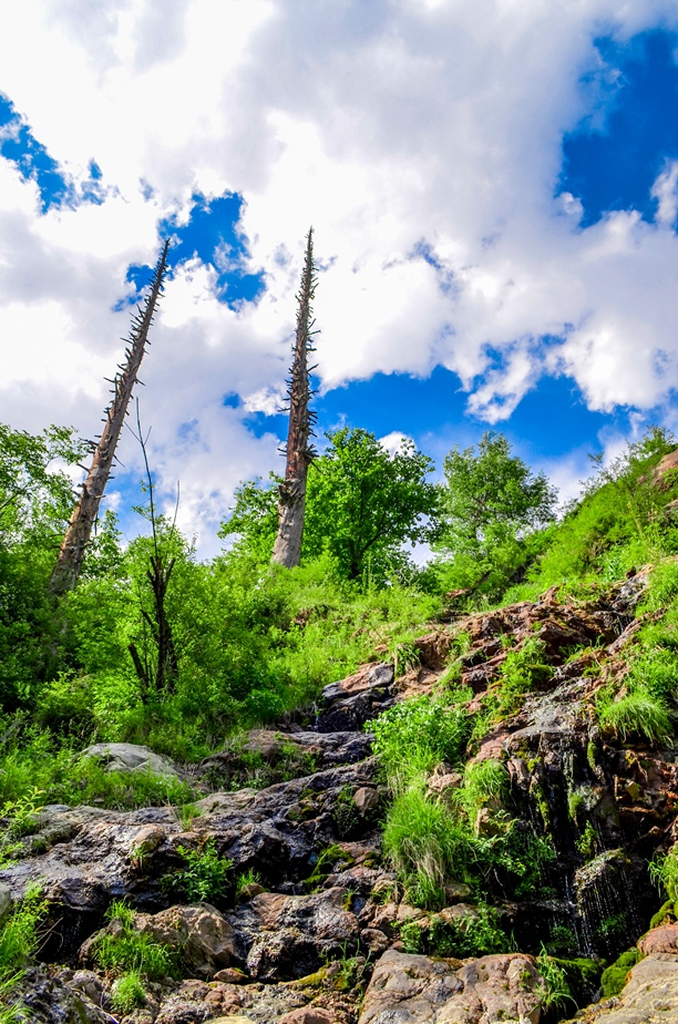 Photo of Kasol-Kheerganga Trek in Parvati Valley 26/56 by Soumitra Mitra