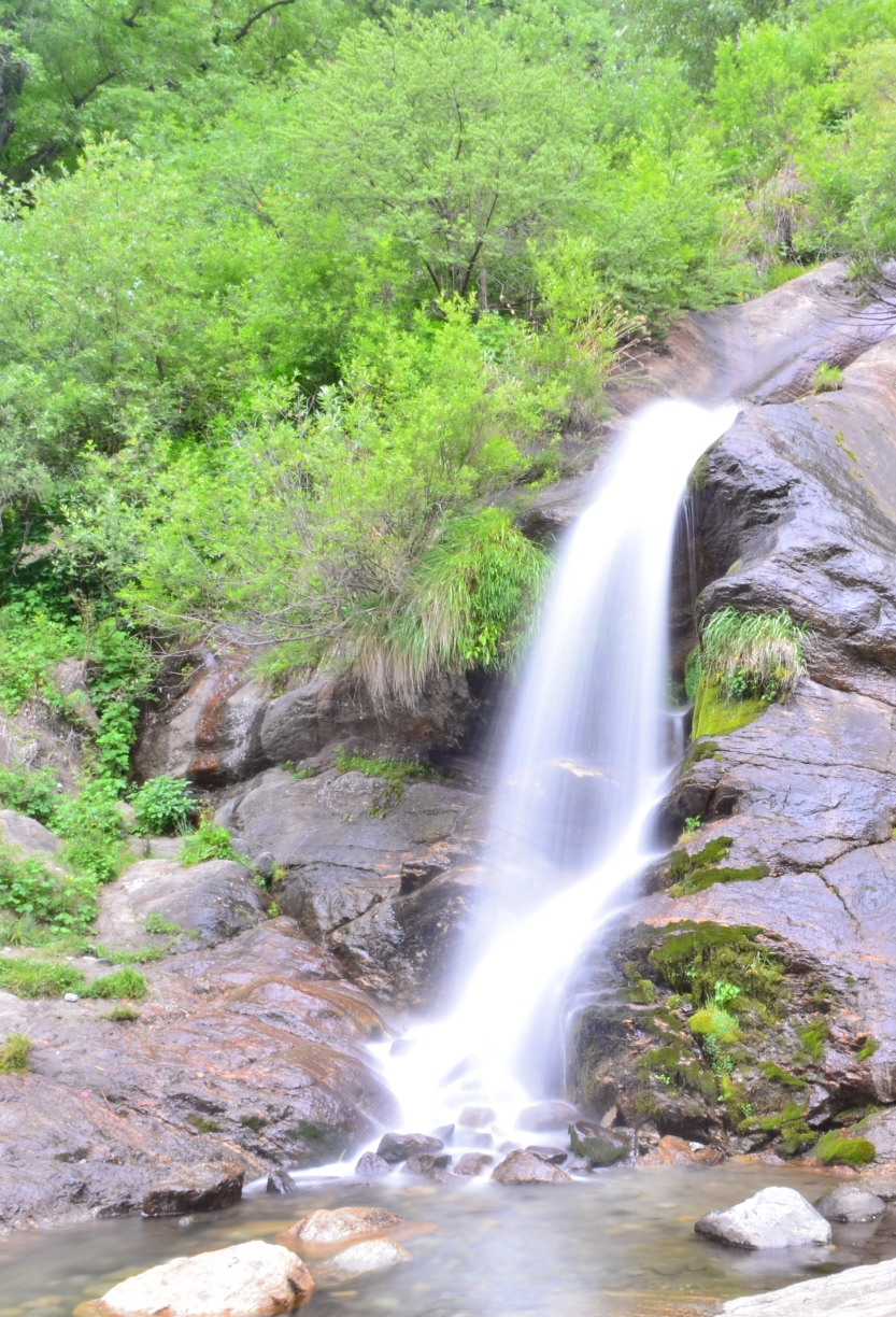 Photo of Kasol-Kheerganga Trek in Parvati Valley 28/56 by Soumitra Mitra