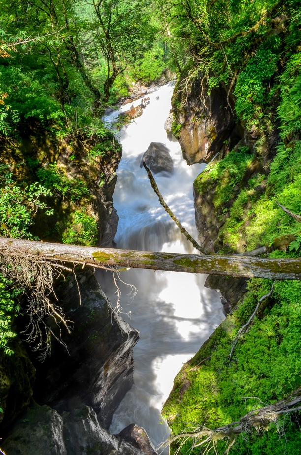 Photo of Kasol-Kheerganga Trek in Parvati Valley 30/56 by Soumitra Mitra