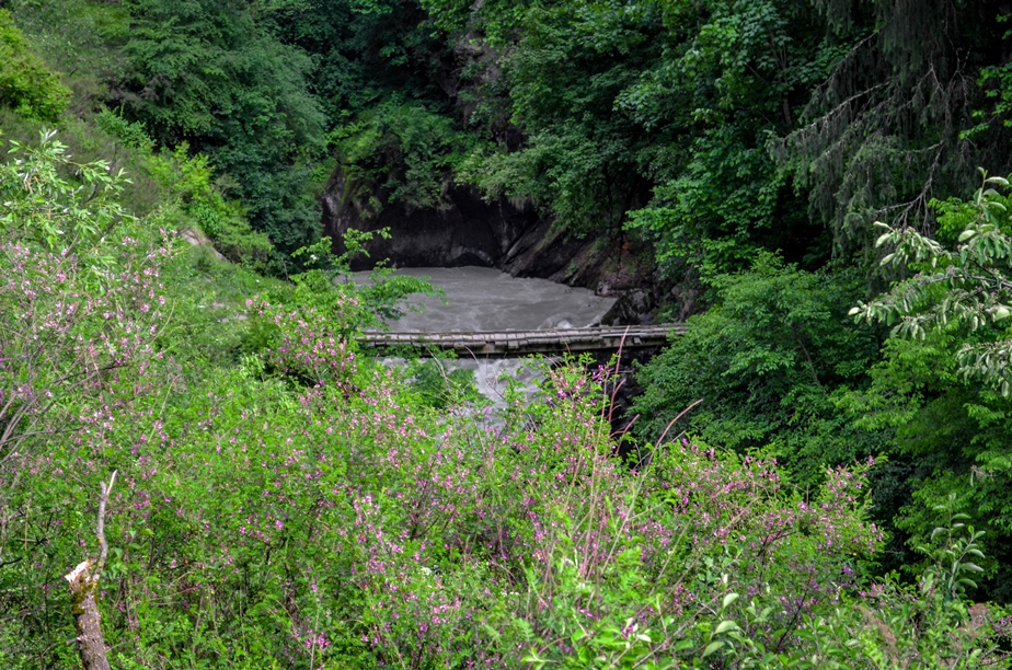Photo of Kasol-Kheerganga Trek in Parvati Valley 31/56 by Soumitra Mitra
