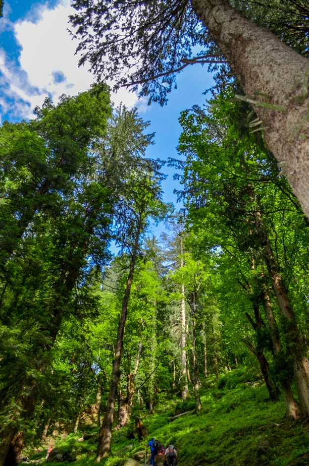 Photo of Kasol-Kheerganga Trek in Parvati Valley 32/56 by Soumitra Mitra