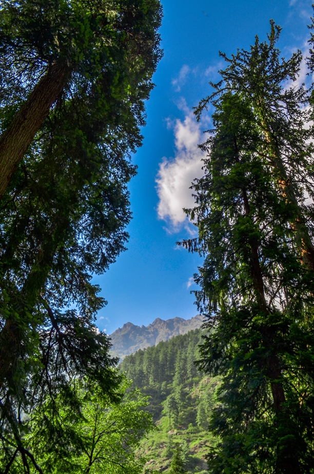 Photo of Kasol-Kheerganga Trek in Parvati Valley 35/56 by Soumitra Mitra
