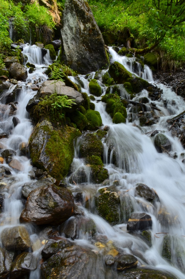 Photo of Kasol-Kheerganga Trek in Parvati Valley 43/56 by Soumitra Mitra