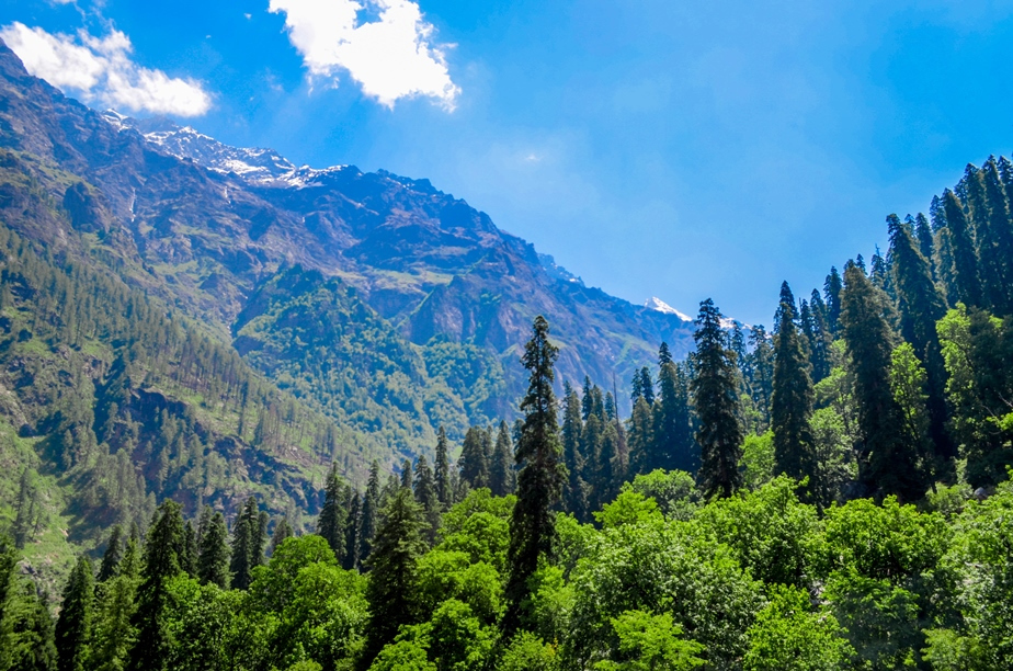 Photo of Kasol-Kheerganga Trek in Parvati Valley 49/56 by Soumitra Mitra