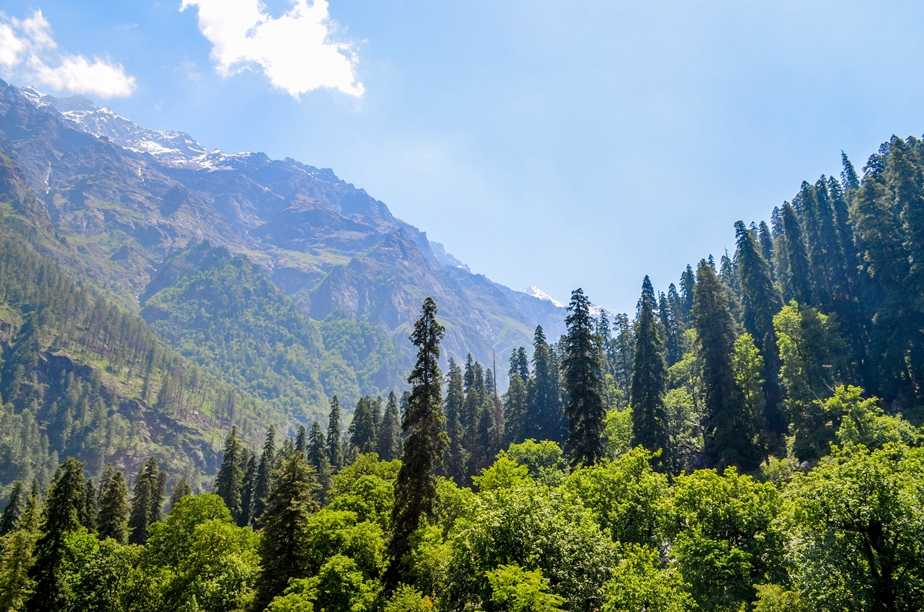 Photo of Kasol-Kheerganga Trek in Parvati Valley 52/56 by Soumitra Mitra