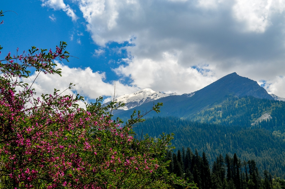 Photo of Kasol-Kheerganga Trek in Parvati Valley 10/56 by Soumitra Mitra