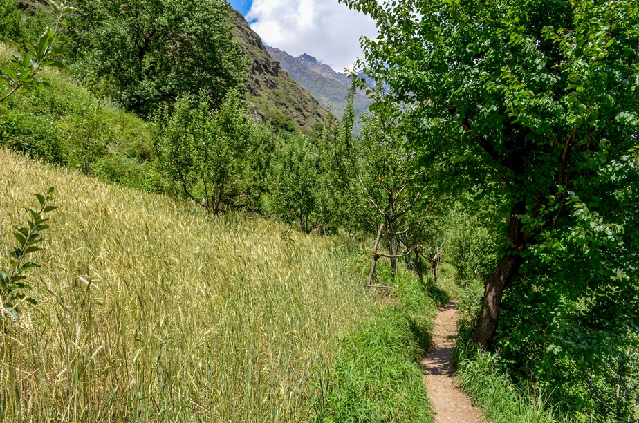 Photo of Kasol-Kheerganga Trek in Parvati Valley 15/56 by Soumitra Mitra