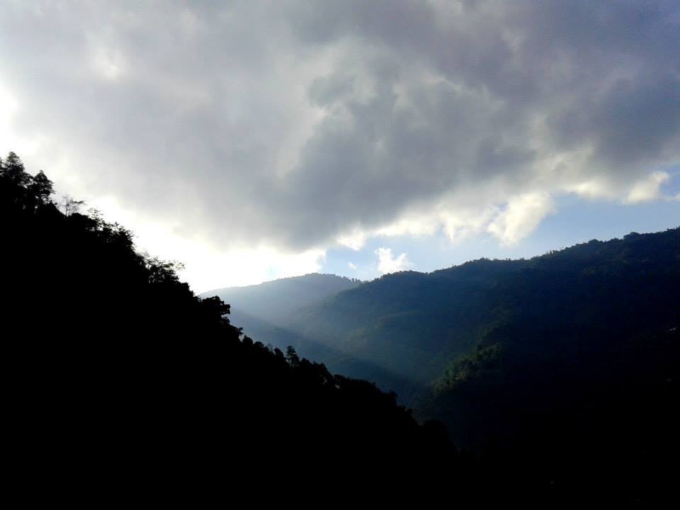 Photo of Hidden Trail - Rishyap, Lava & Lolegaon 16/53 by Arpit Shah