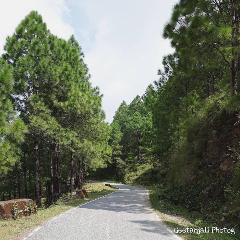 Photo of Lansdowne: Soul Connection Trip 11/11 by GeetanjaaliGeets