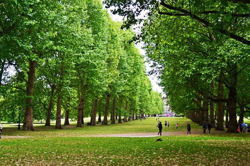 Photo of Green Park, London, United Kingdom by Akriti Sinha