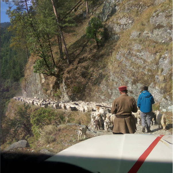 Photo of Tales from Uttarakhand 7/22 by prajwal.nithish