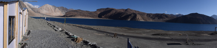 Photo of Morning in Camp Pangong 20/26 by mytravelnama