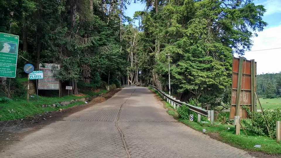 Photo of Banglore Coorg and ooty by Bookmarkingearth