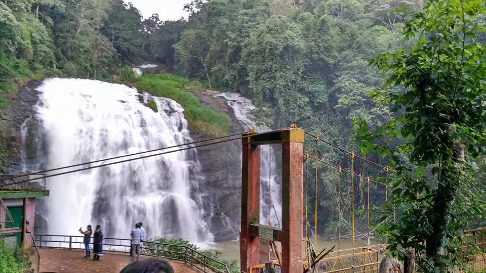 Photo of Banglore Coorg and ooty by Bookmarkingearth