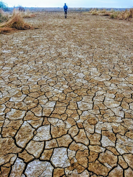 Photo of Dating Kutch & Gir - The Topsy Turvy Way by Himani Chandorkar