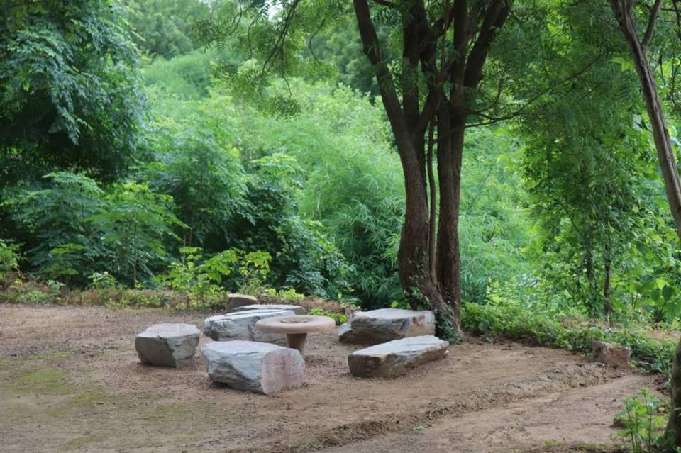 Photo of Reva Forest Homestay - A treat for the soul - A weekend getaway from Vadodara #offbeatgetaway 2/10 by Himani Chandorkar