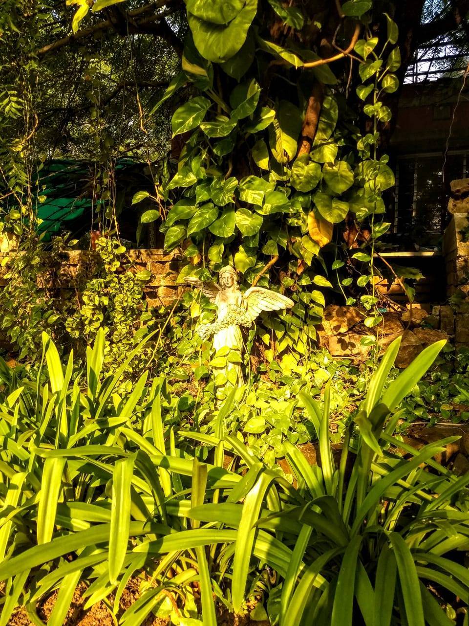 Photo of Reva Forest Homestay - A treat for the soul - A weekend getaway from Vadodara #offbeatgetaway 4/10 by Himani Chandorkar