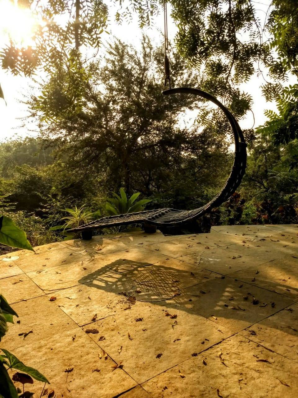 Photo of Reva Forest Homestay - A treat for the soul - A weekend getaway from Vadodara #offbeatgetaway 6/10 by Himani Chandorkar