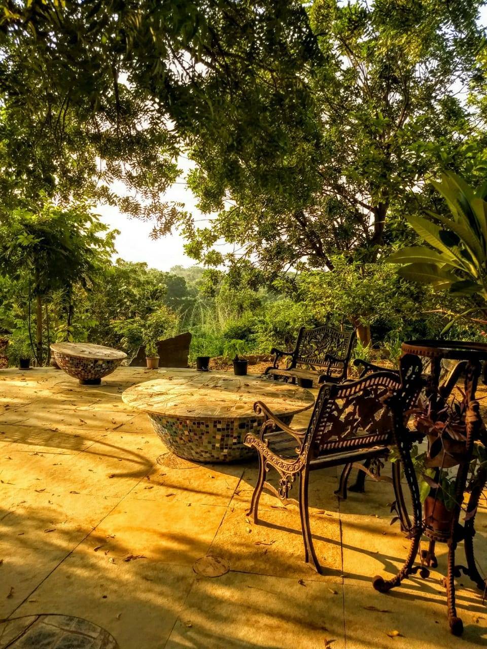 Photo of Reva Forest Homestay - A treat for the soul - A weekend getaway from Vadodara #offbeatgetaway 7/10 by Himani Chandorkar