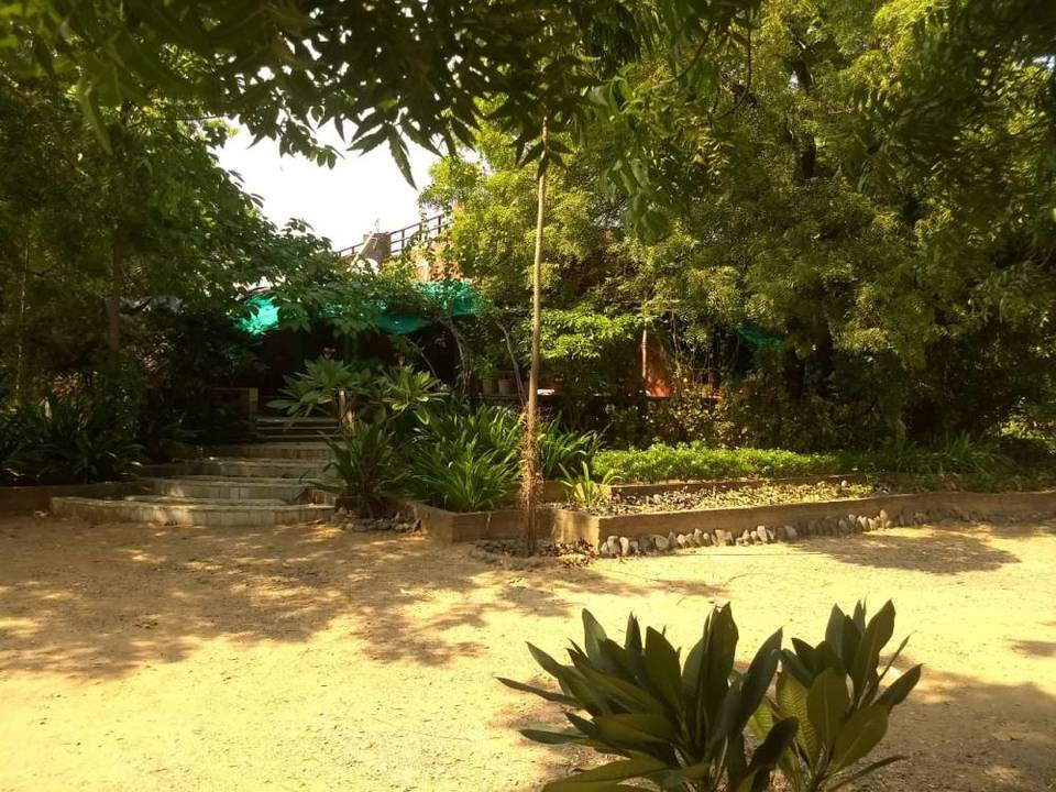 Photo of Reva Forest Homestay - A treat for the soul - A weekend getaway from Vadodara #offbeatgetaway 10/10 by Himani Chandorkar