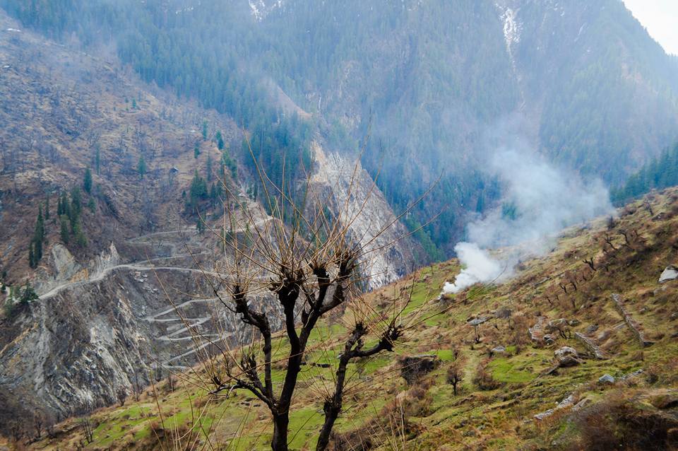 Photo of 50 Shades of Malana & Not Its Cream 2/5 by Nandita Sharma