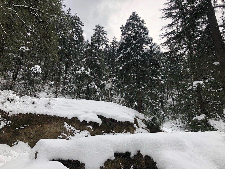 Photo of Himachal Pradesh by Anshika 