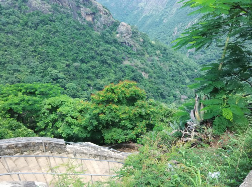 Photo of Refreshing Kolli Hills 3/9 by Rajesh Thiagarajan