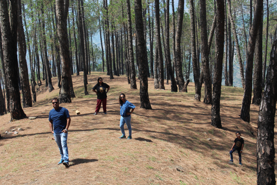 Photo of Binsar Wildlife Sanctuary, Binsar, Uttarakhand, India by Prashant Srivastava